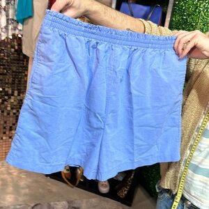 Periwinkle Vintage Shorts